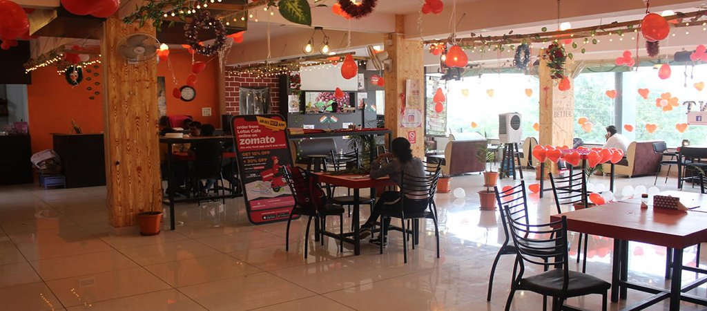 Lotus Cafe in udaipur