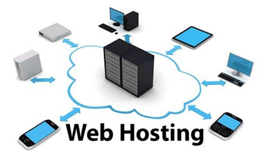 Website Hosting Service Provider Udaipur