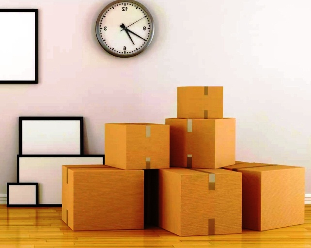 Packers and Movers in Udaipur, Usha Home Packers and Movers